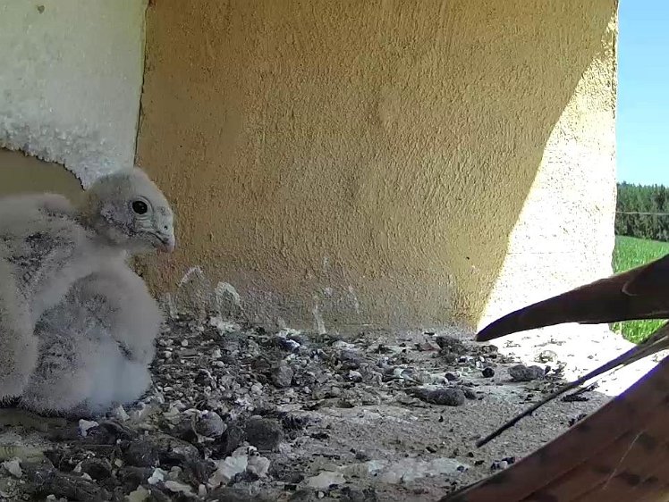 Frame_2021-07-21_12-17-10 12:!7