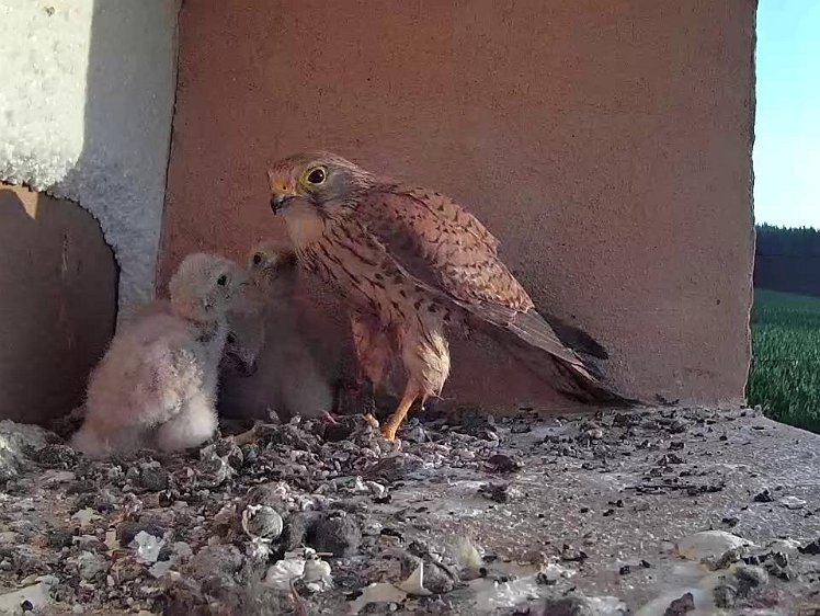 Frame_2021-07-22_06-55-00 06:55