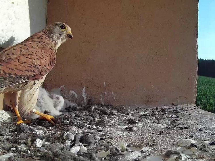 Frame_2021-07-22_07-41-53 07:41