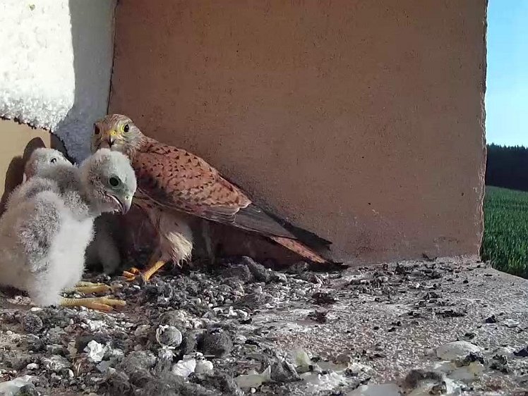 Frame_2021-07-22_07-43-33 07:43