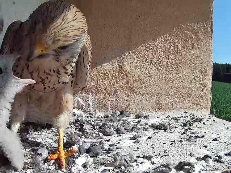 Frame_2021-07-22_10-04-20 10:04