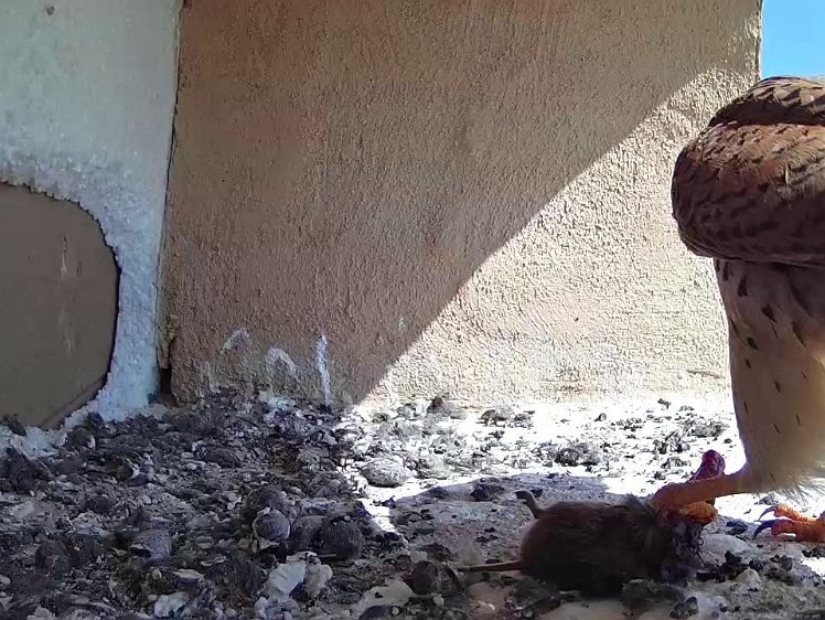 Frame_2021-07-22_11-14-50 11:14 fifth food delivery