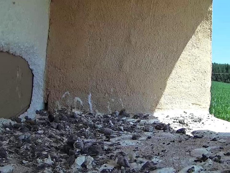 Frame_2021-07-22_12-08-01 12:08 sixth delivery