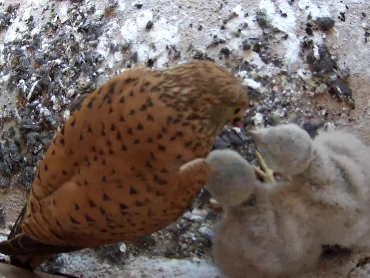 Frame_2021-07-22_12-08-45 12:08