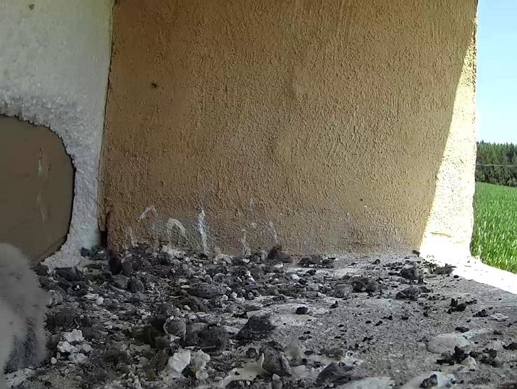 Frame_2021-07-22_12-40-23 12:40 seventh delivery