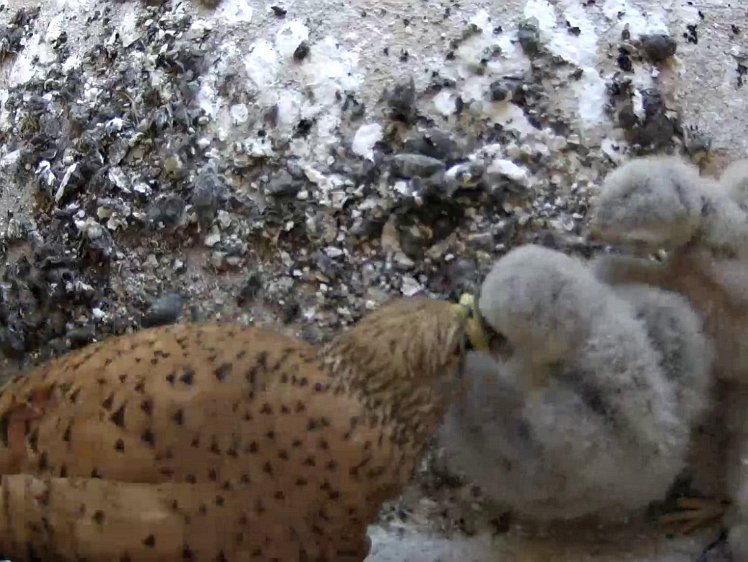 Frame_2021-07-22_12-41-39 12:41