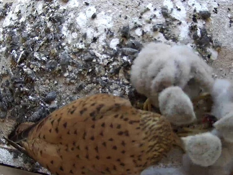 Frame_2021-07-22_12-42-19 12:42