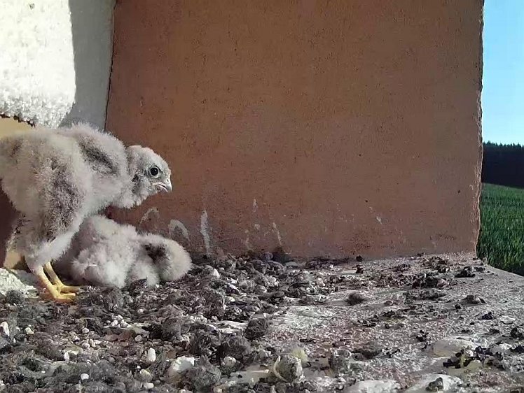 Frame_2021-07-23_07-46-39 07:46