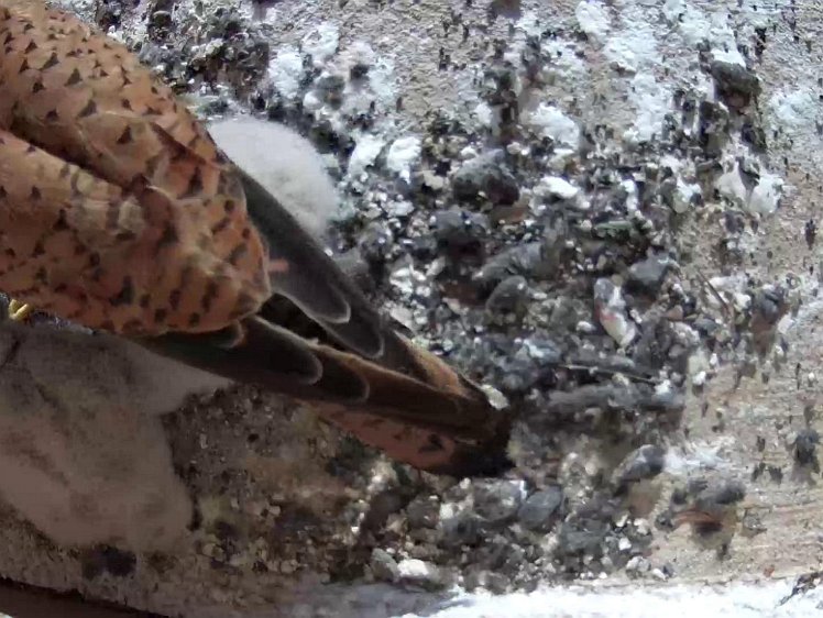 Frame_2021-07-23_08-53-18 08:53