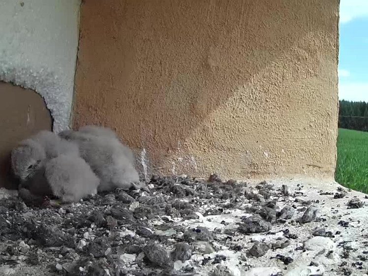 2021-07-24 11-08-39 video 11:08 trying to share?