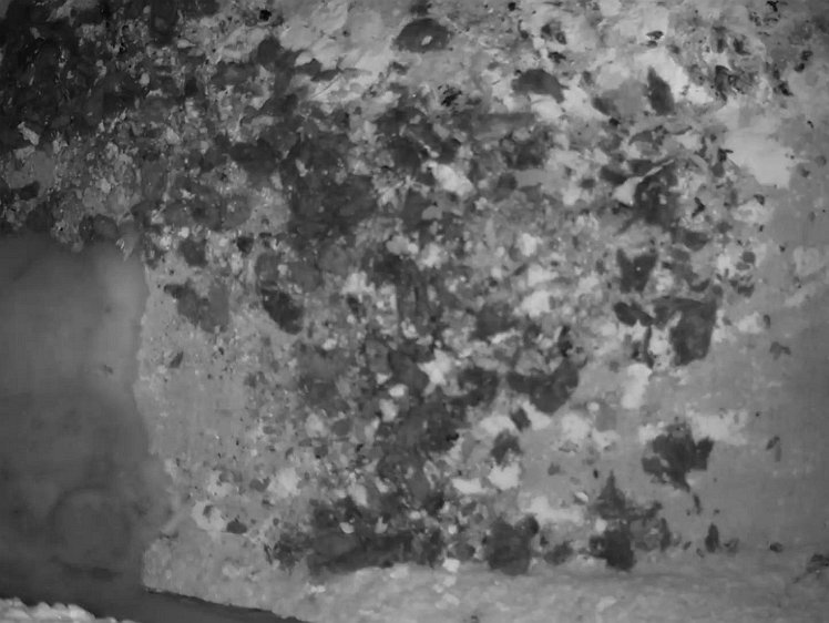 Frame_2021-07-24_04-45-00 04:45