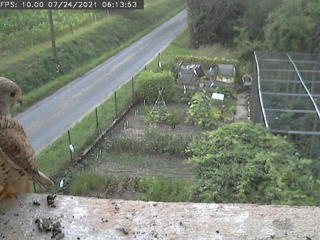 Frame_2021-07-24_06-13-53 06:13