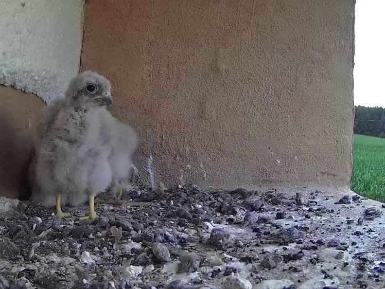 Frame_2021-07-24_06-18-57 06:18