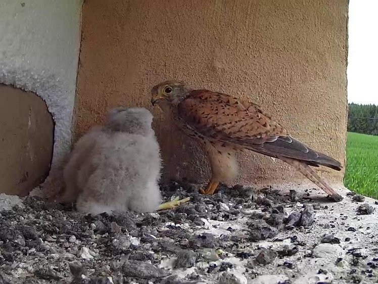 Frame_2021-07-24_07-10-09 07:10