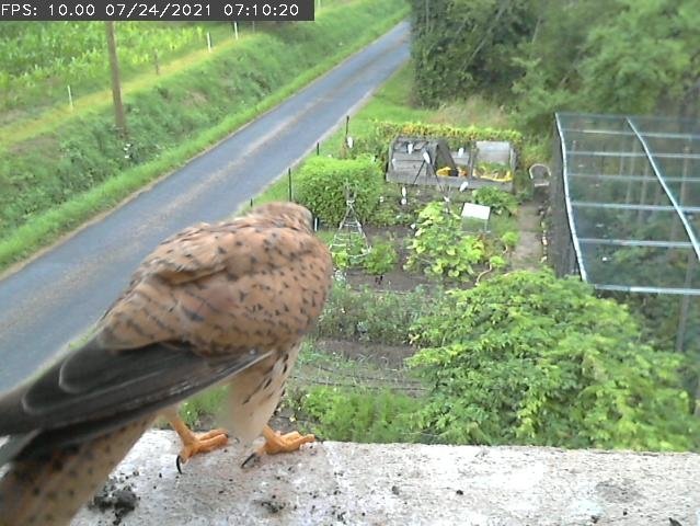 Frame_2021-07-24_07-10-20 07:10