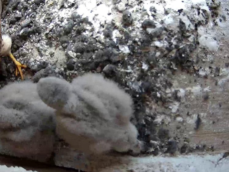 Frame_2021-07-24_11-07-57 11:07 food