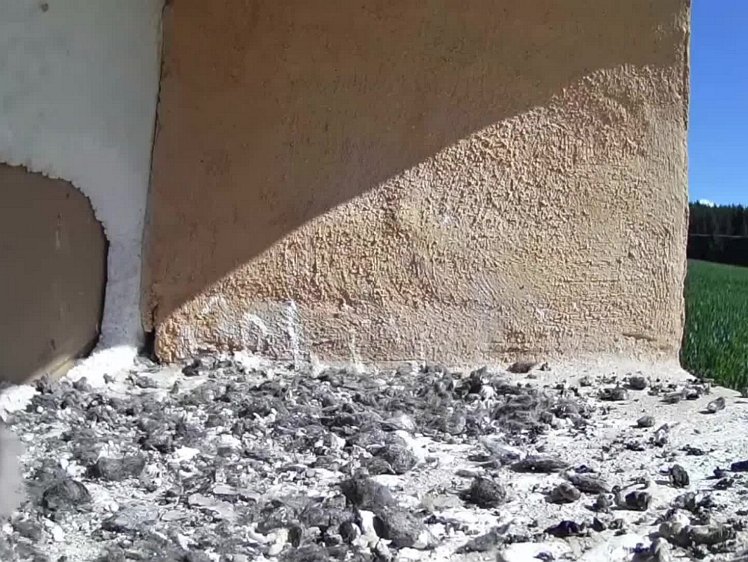 20210725_110642_edit1-1015 video 10:15 the hen delivers