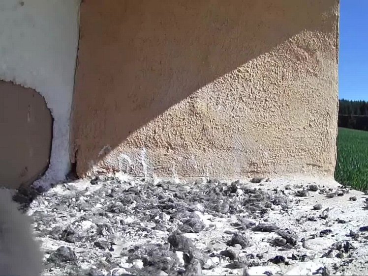 20210725_111210_edit1-1029 video 10:29 hen delivers