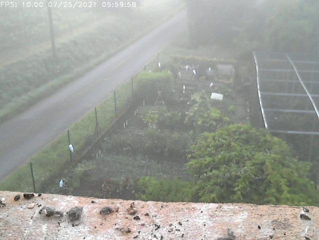 Frame_2021-07-25_05-59-58 05:59 a misty morning