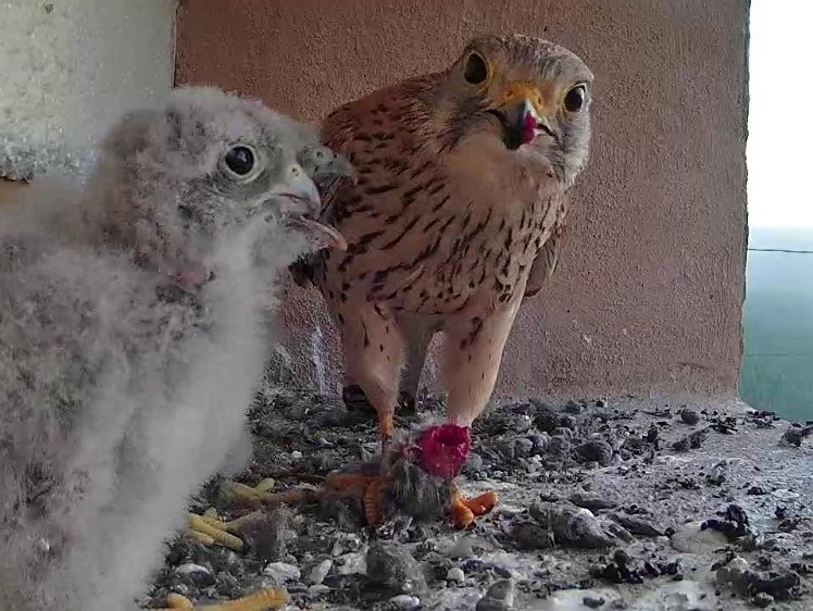 Frame_2021-07-25_06-31-22 06:31