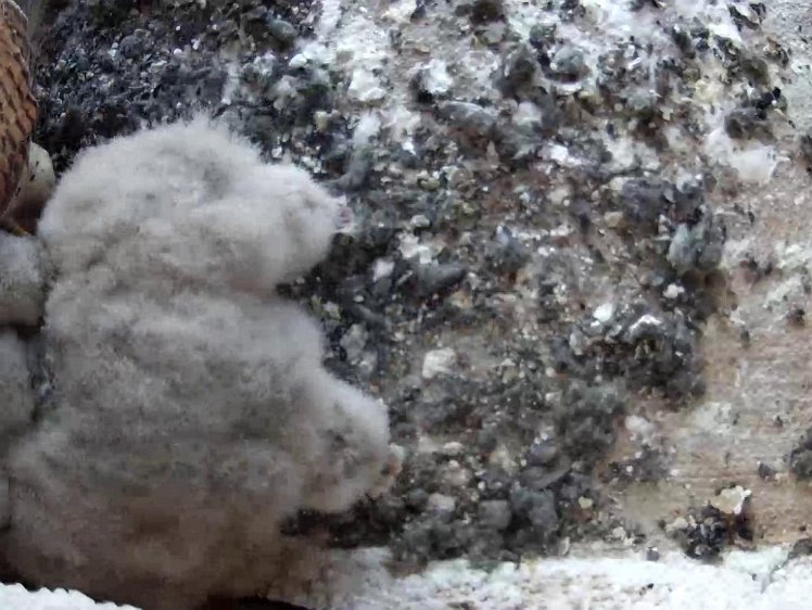 Frame_2021-07-25_06-32-17 06:32