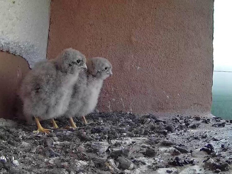 Frame_2021-07-25_06-34-43 06:34