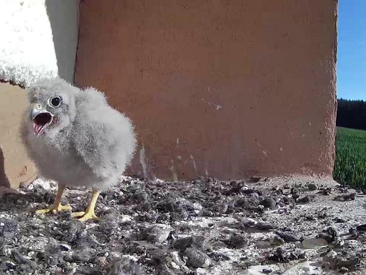 Frame_2021-07-25_08-26-48 08:26