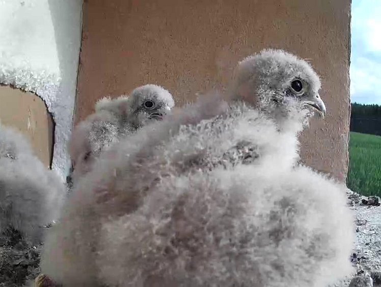 Frame_2021-07-26_08-22-09 08:22 waiting