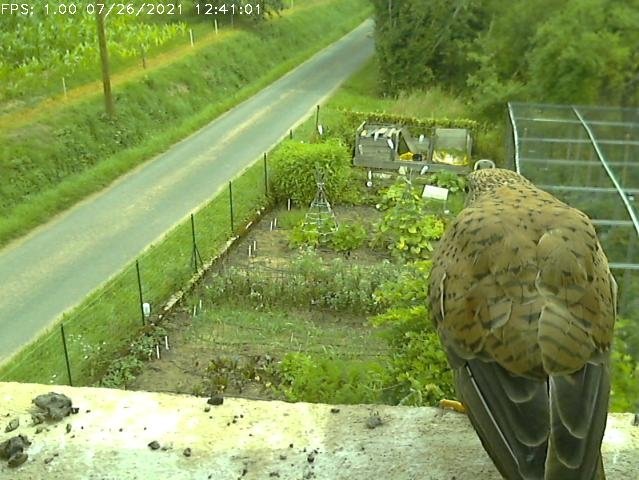 Frame_2021-07-26_12-41-01 12:41