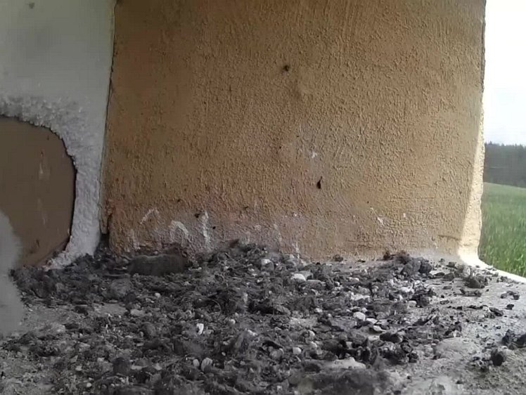 20210727_130217_edit1-1258-1 video 12:58 the cock flies in carrying food for the chicks