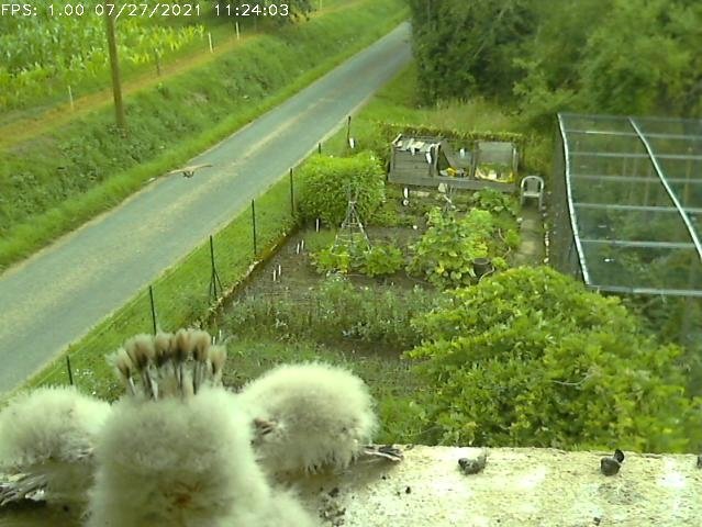 Frame_2021-07-27_11-24-03 11:23 near the edge