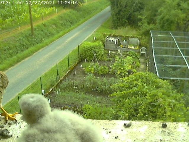 Frame_2021-07-27_11-24-15 11:24