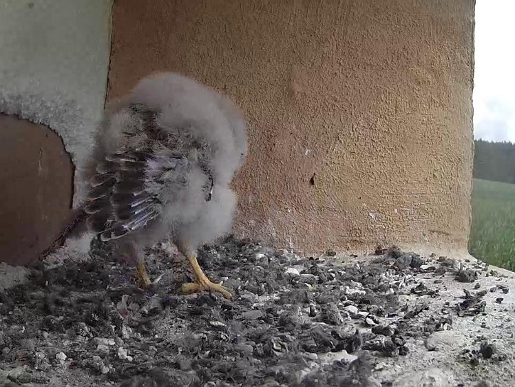 Frame_2021-07-27_11-26-43 11:26 more flexing