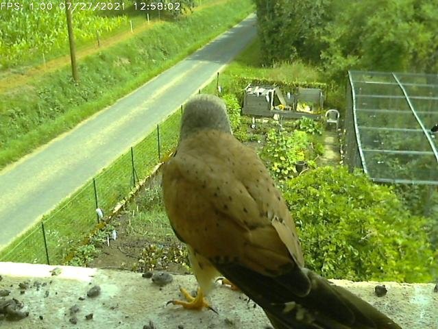 Frame_2021-07-27_12-58-02 12:58 ready to leave