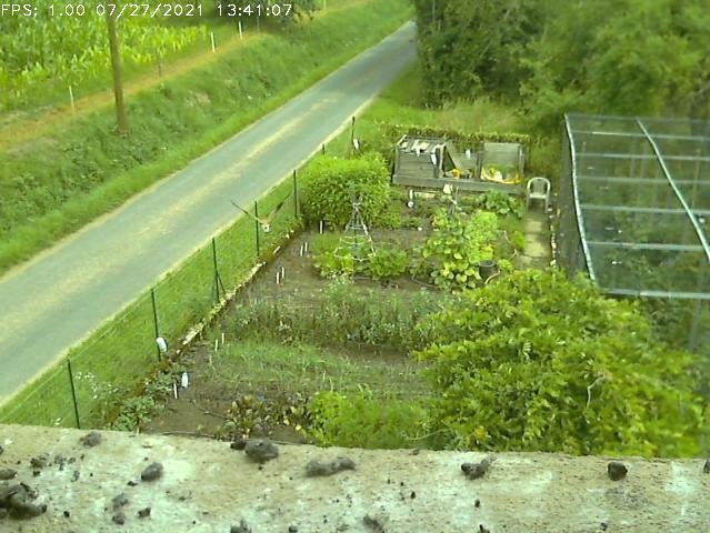 Frame_2021-07-27_13-41-07 13:41 flying away