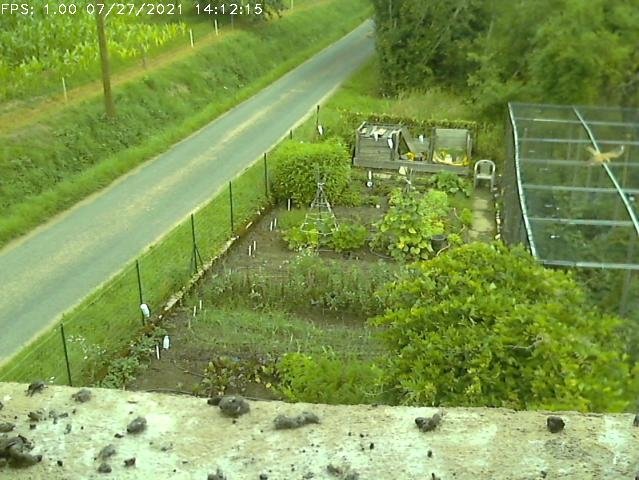 Frame_2021-07-27_14-12-15 14:12 flying around