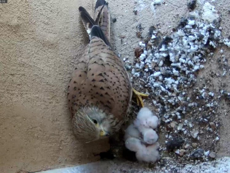 Frame_2021-07-10_14-02-32