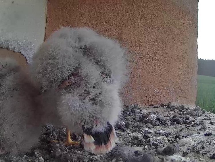 Frame_2021-07-28_09-50-15 09:50