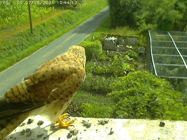 Frame_2021-07-28_10-44-13 10:44