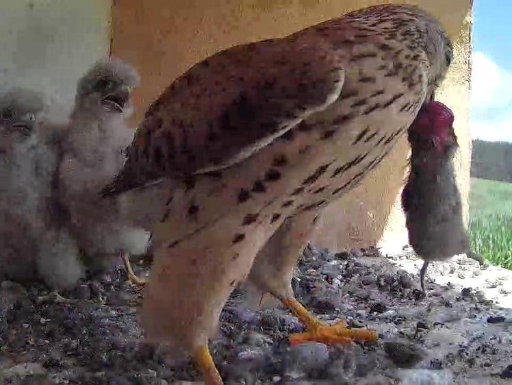 Frame_2021-07-28_12-23-57 12:23