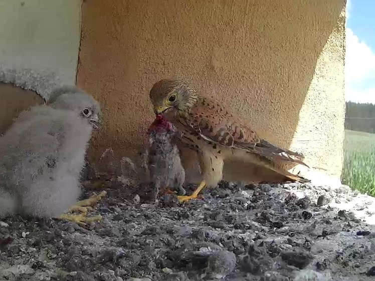 Frame_2021-07-28_12-24-18 12:24