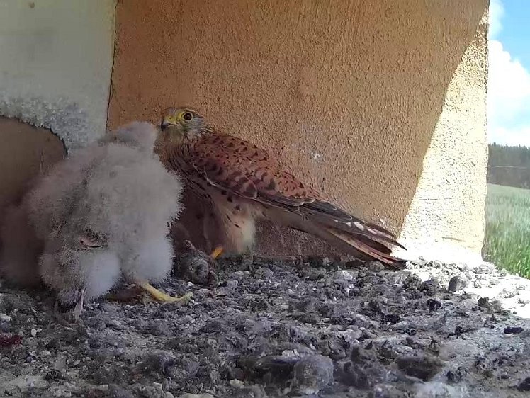 Frame_2021-07-28_12-24-23 12:24