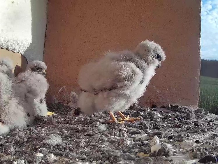 Frame_2021-07-29_07-35-56 07:35