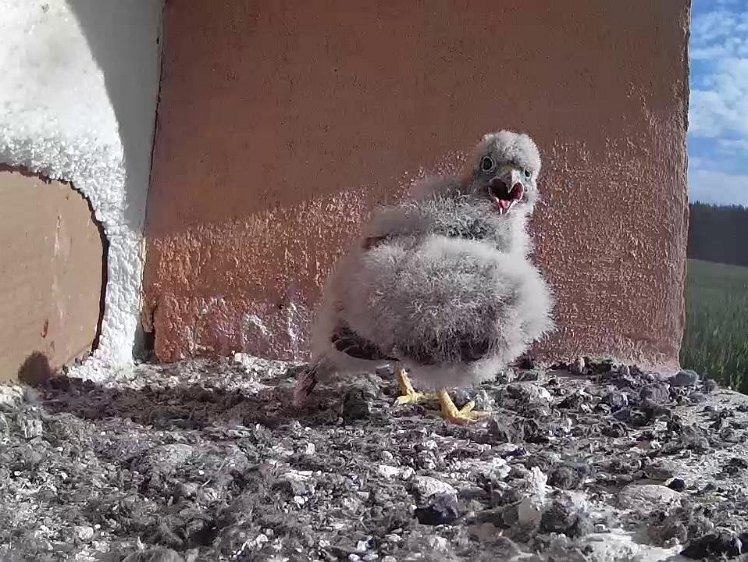 Frame_2021-07-29_08-52-57 08:52