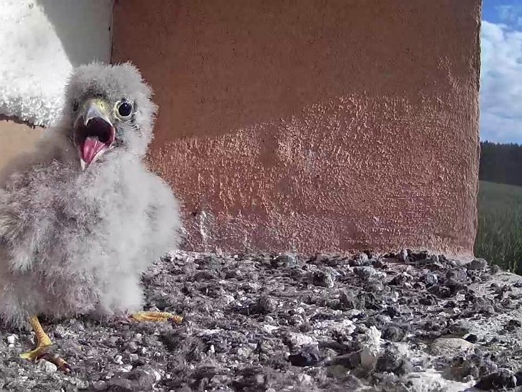 Frame_2021-07-29_08-58-56 08:58