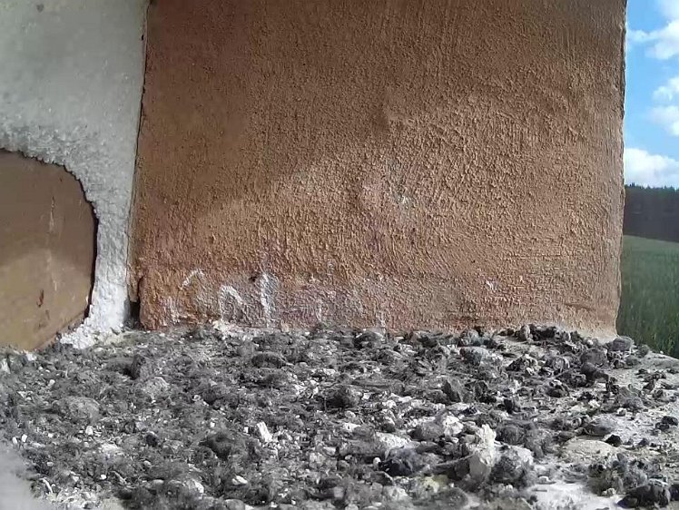 Frame_2021-07-29_09-58-10 09:58 a black redstart in the wrong nest