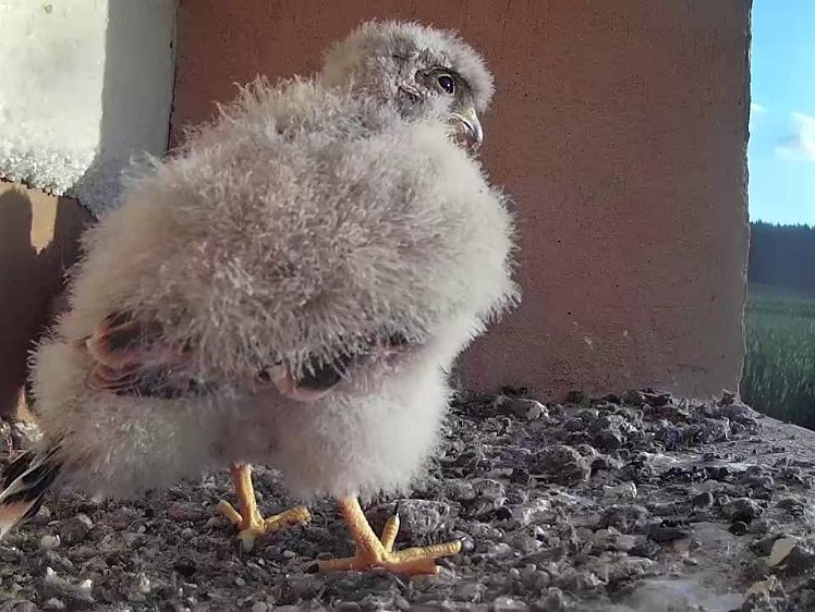 Frame_2021-07-30_07-07-32 07:07