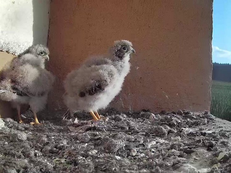 Frame_2021-07-30_07-31-00 07:31