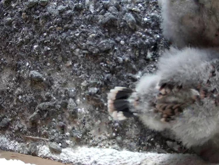 Frame_2021-07-30_07-35-25 07:35