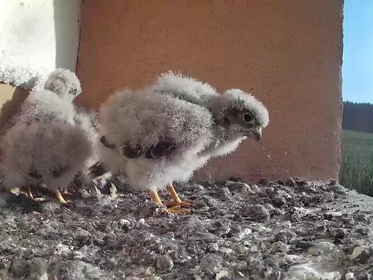 Frame_2021-07-30_07-44-24 07:44